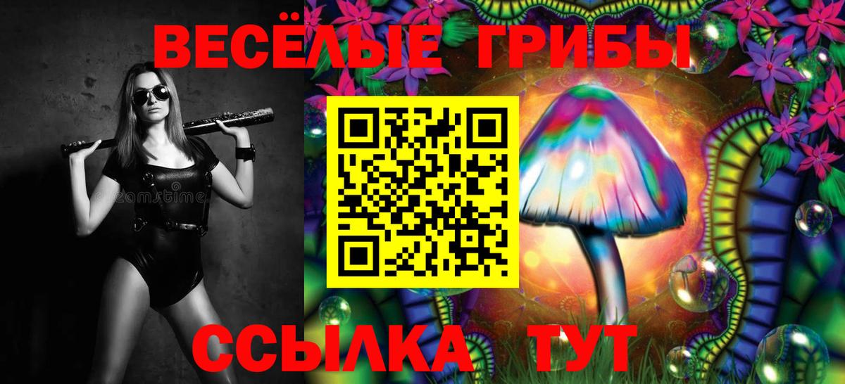 купить наркотик  Псилоцибиновые грибы GOLDEN TEACHER  Вход с VPN  Верхняя Пышма  Псилоцибиновые грибы MAGIC MUSHROOMS 